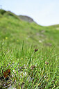 BUITEN BEELD Foto: 444895