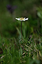 BUITEN BEELD Foto: 444897