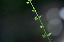 BUITEN BEELD Foto: 444905