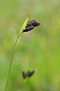 BUITEN BEELD Foto: 444909
