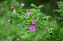 BUITEN BEELD Foto: 444911