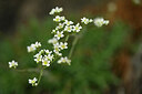 BUITEN BEELD Foto: 444917