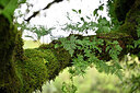 BUITEN BEELD Foto: 444920