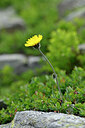 BUITEN BEELD Foto: 444928