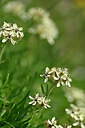 BUITEN BEELD Foto: 444929