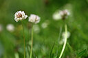 BUITEN BEELD Foto: 444935