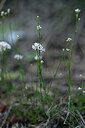 BUITEN BEELD Foto: 444948