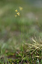 BUITEN BEELD Foto: 444951