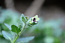 BUITEN BEELD Foto: 444962