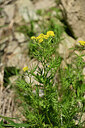 BUITEN BEELD Foto: 444964