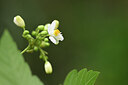 BUITEN BEELD Foto: 444965