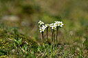 BUITEN BEELD Foto: 444966