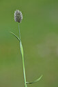 BUITEN BEELD Foto: 444967