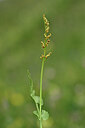 BUITEN BEELD Foto: 444970