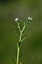 BUITEN BEELD Foto: 444982