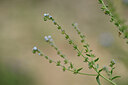 BUITEN BEELD Foto: 444983