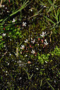 BUITEN BEELD Foto: 444984