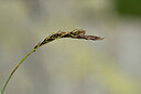 BUITEN BEELD Foto: 444985
