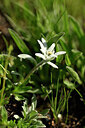 BUITEN BEELD Foto: 444986