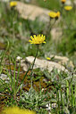 BUITEN BEELD Foto: 444987
