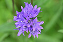 BUITEN BEELD Foto: 444989