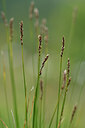 BUITEN BEELD Foto: 444996