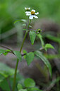BUITEN BEELD Foto: 445000