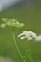 BUITEN BEELD Foto: 445002