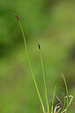 BUITEN BEELD Foto: 445006