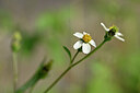 BUITEN BEELD Foto: 445007