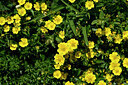 BUITEN BEELD Foto: 445031