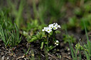 BUITEN BEELD Foto: 445032