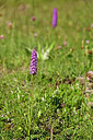BUITEN BEELD Foto: 445036