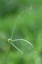 BUITEN BEELD Foto: 445042
