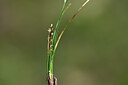 BUITEN BEELD Foto: 445043