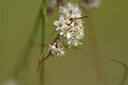 BUITEN BEELD Foto: 445049