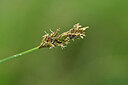 BUITEN BEELD Foto: 445053