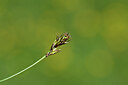 BUITEN BEELD Foto: 445055