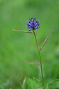 BUITEN BEELD Foto: 445056