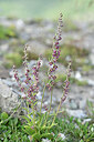 BUITEN BEELD Foto: 445061