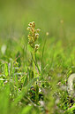 BUITEN BEELD Foto: 445064