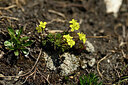 BUITEN BEELD Foto: 445066