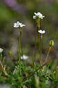 BUITEN BEELD Foto: 445069