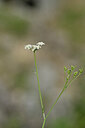 BUITEN BEELD Foto: 445070