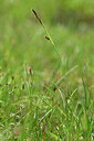 BUITEN BEELD Foto: 445072