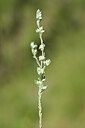 BUITEN BEELD Foto: 445075