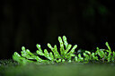 BUITEN BEELD Foto: 445080