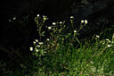 BUITEN BEELD Foto: 445081
