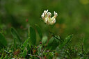 BUITEN BEELD Foto: 445084