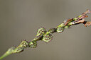 BUITEN BEELD Foto: 445085